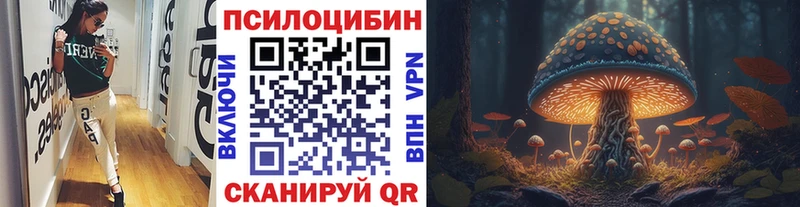 Псилоцибиновые грибы Psilocybine cubensis  МЕГА   Кущёвская 